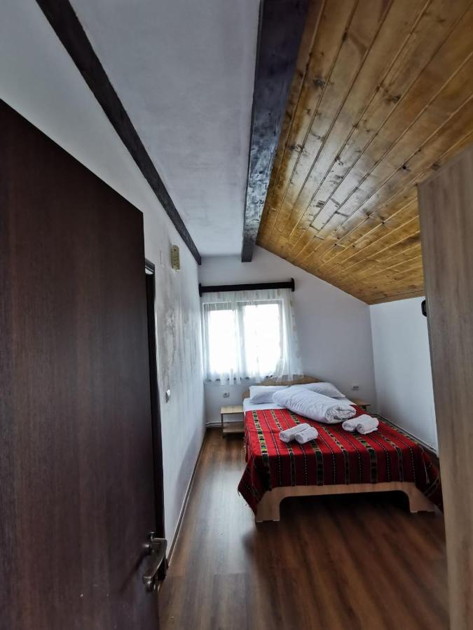 Pensiunea Alina Baia de Fier Exteriér fotografie