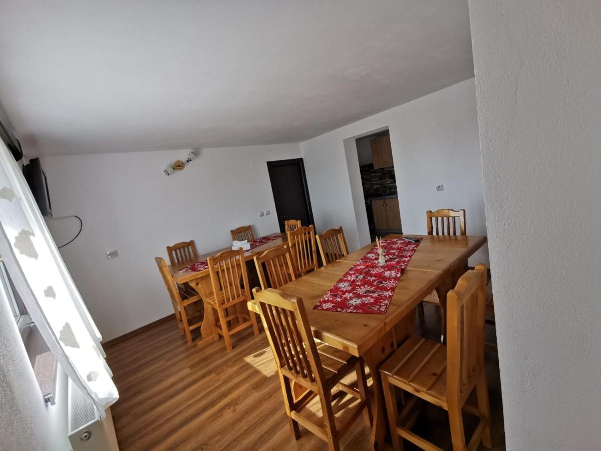 Pensiunea Alina Baia de Fier Exteriér fotografie