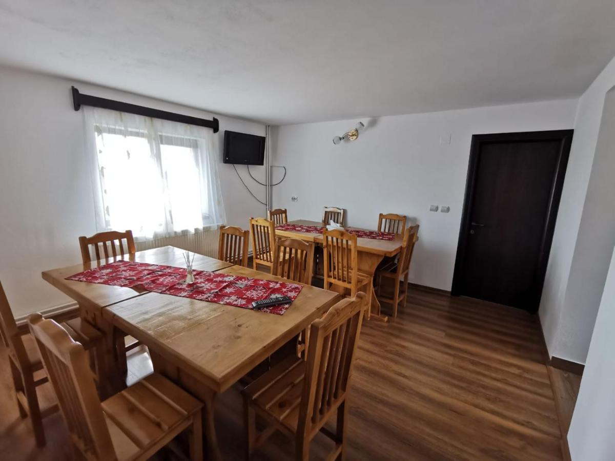 Pensiunea Alina Baia de Fier Exteriér fotografie