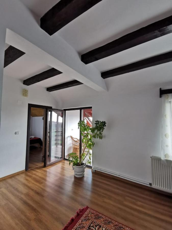 Pensiunea Alina Baia de Fier Exteriér fotografie