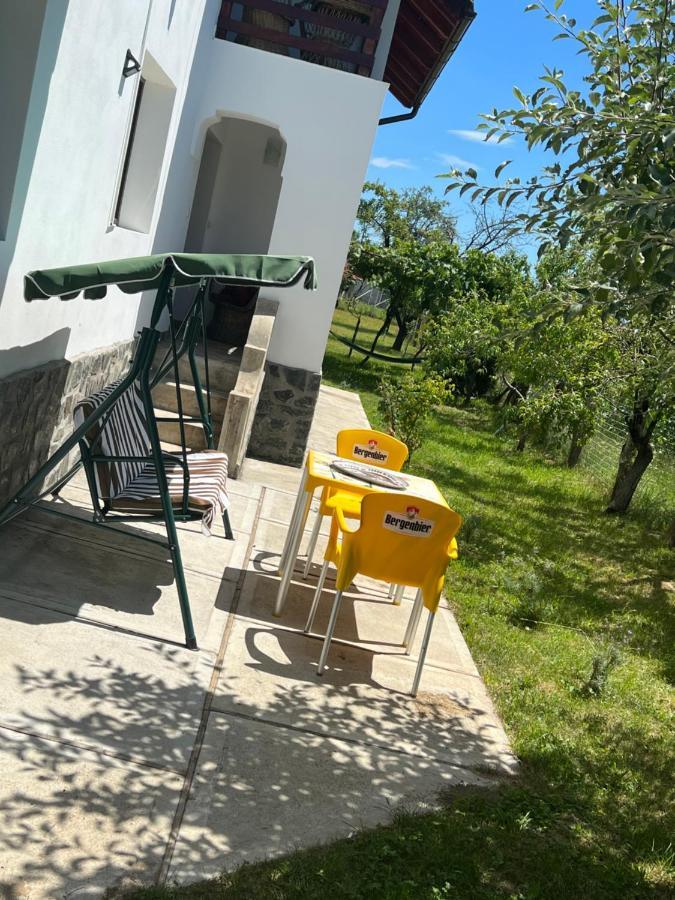 Pensiunea Alina Baia de Fier Exteriér fotografie