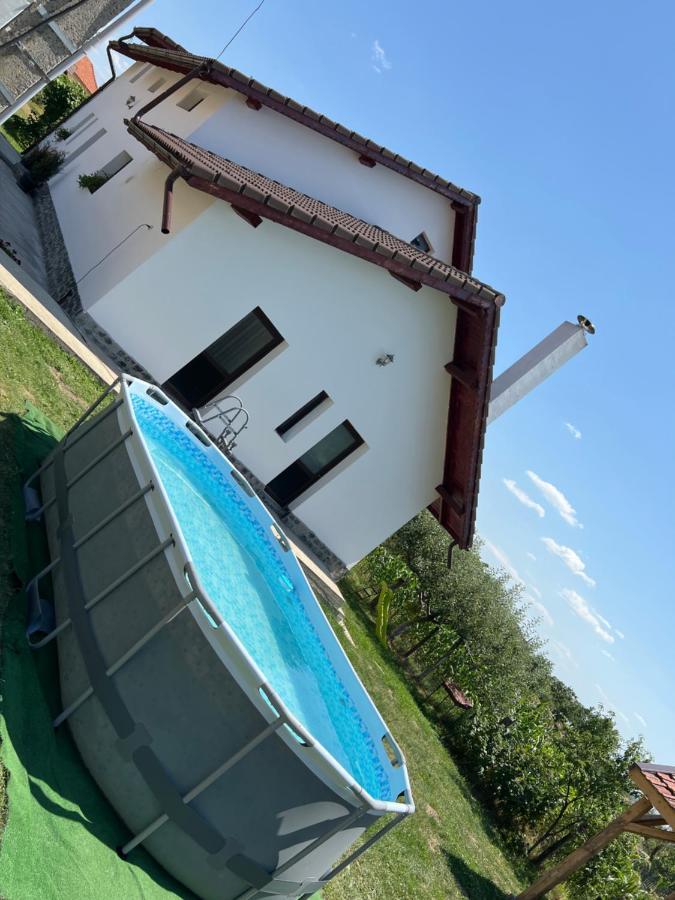 Pensiunea Alina Baia de Fier Exteriér fotografie