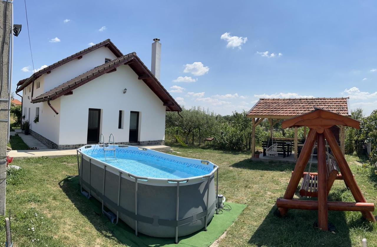 Pensiunea Alina Baia de Fier Exteriér fotografie
