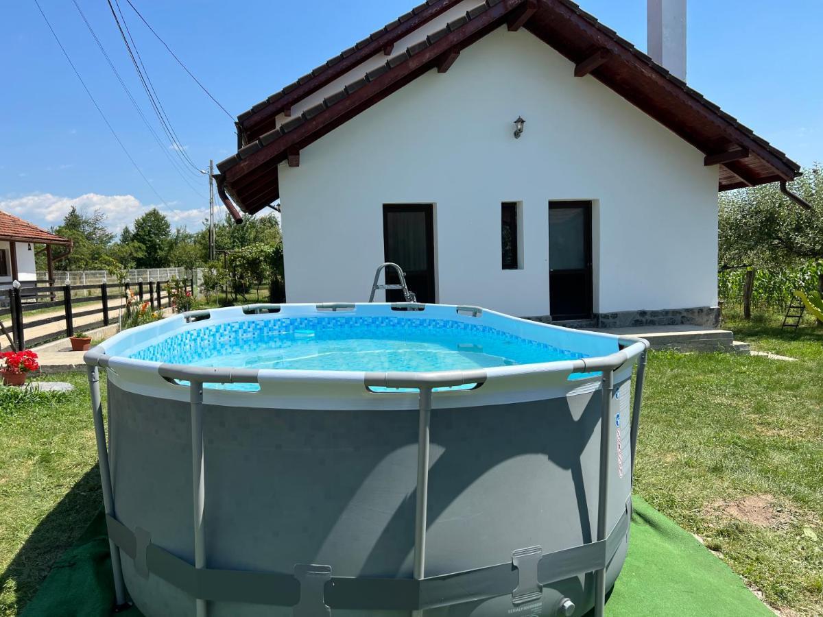 Pensiunea Alina Baia de Fier Exteriér fotografie